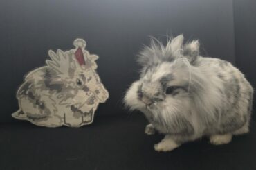 Made a christmas Hiro