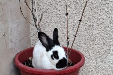 His level of silliness will never stop surprising me