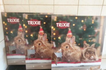 Do your buns have an advent calendar?