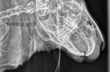 Had a super expensive photoshoot of my baby girl ❤️