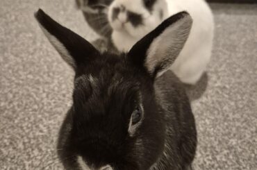 What do they want from me??