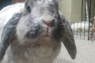 The rotund orb wishes everyone a pleasant day