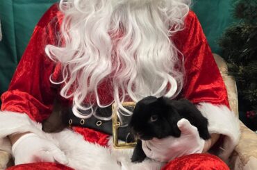 They met buna-claus today