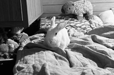 A letter for my late love