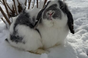 Baby’s first snow (this was only for 2min)