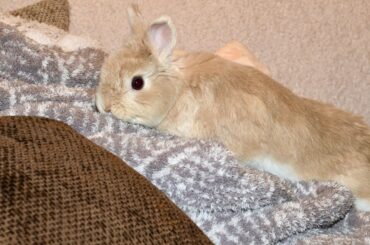 Miss Bean always looking for trouble. 🥰