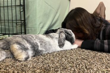 My baby, Ms. Martha, passed away after a tragic accident.