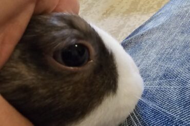 She likes me to do this and tell her she has a very little head!