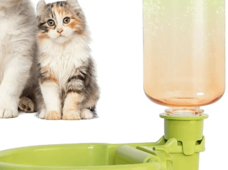 Water dilemma