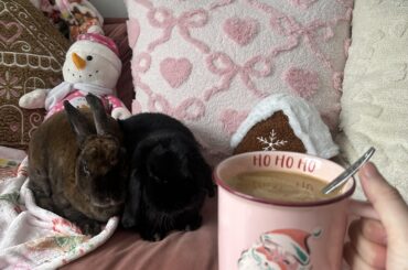 We wish you a merry Christmas and a happy new year 😘🫶🏻🎀🎄