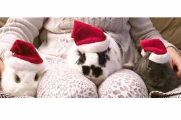 Gone, but never forgotten.