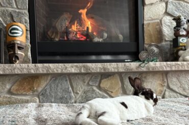 (Oc) warming by the 🔥