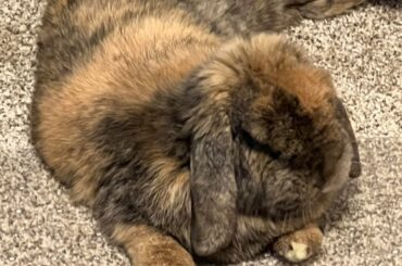 I stole my daughters bun