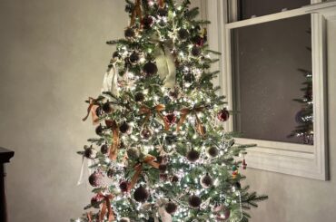 My pet black hole, Miss Tiggles, approves of our Christmas tree