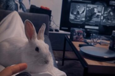 we ate so much on Christmas now we need a rest day . merry Christmas guys and girls and bunnies