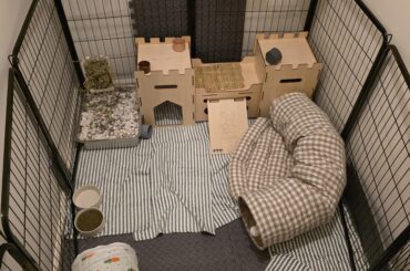 Advice on indoor setup