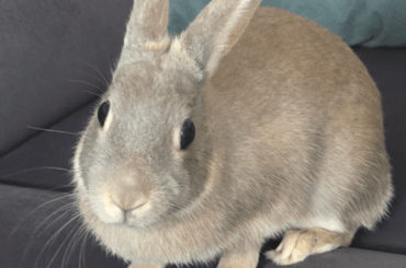 What could she be asking me?