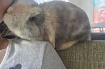 A morning kiss from Hopscotch