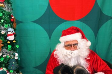 Petsmart hired a Santa that had never handled bunnies 😭😭
