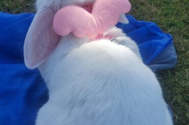 Outside with a Little Angel