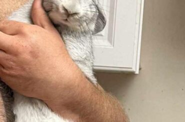 Scheduled neuter appt