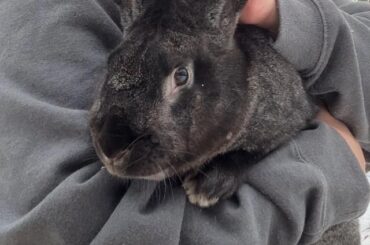 Name ideas!