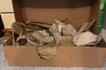 Spot the bunny - Difficulty hard