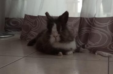 Let me introduce you to Bella 🥰