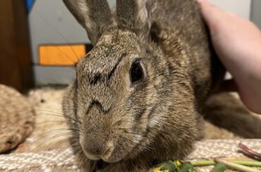 Look at her peets 😭