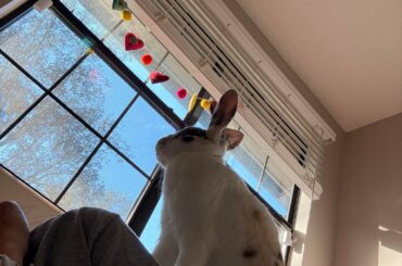 King of his Castle (aka, me apparently)