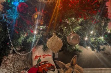 Christmas bunny 🐇