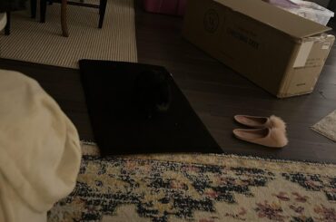 Can someone help me find Miss Tiggles?