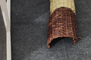 Where do your bunnies mostly sleep?