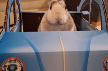 Merry Christmas Everyone!