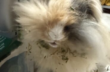 When there’s a will there’s a way