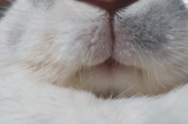 Oooohhh MOUF 🥺🧡