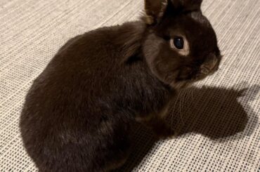 Dr. Bigwig shows you what a REAL medical professional looks like.