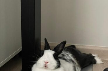 Why is she so proud???😂