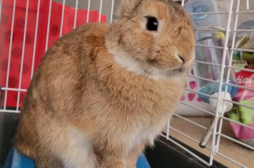 He stands High and mighty