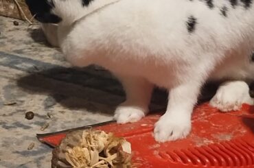 Making messes on hip at a time.