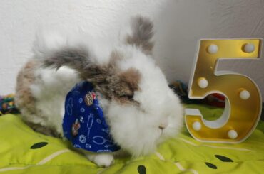 Happy Birthday/Gotcha Day to my boy, Travis!!!