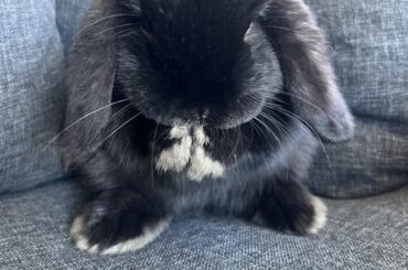 Name suggestions?