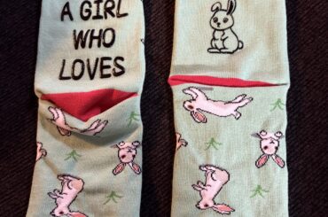 My Christmas present!