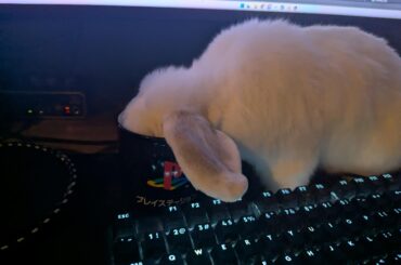 "got anymore of that go-go juice?"