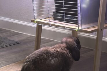 If I was just a bit taller…