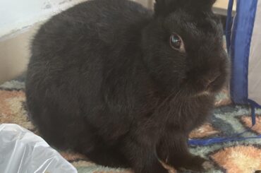 My senior baby bun❤️