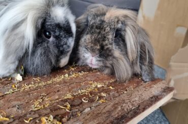 This Is Not a Happy Song (A grief piece from a dark place)