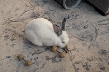 Merry Christmas 🎄🎁