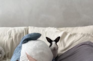Snuggle time!