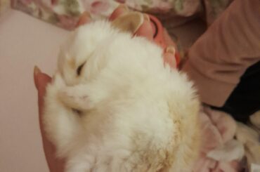 Pretty little baby 🥰